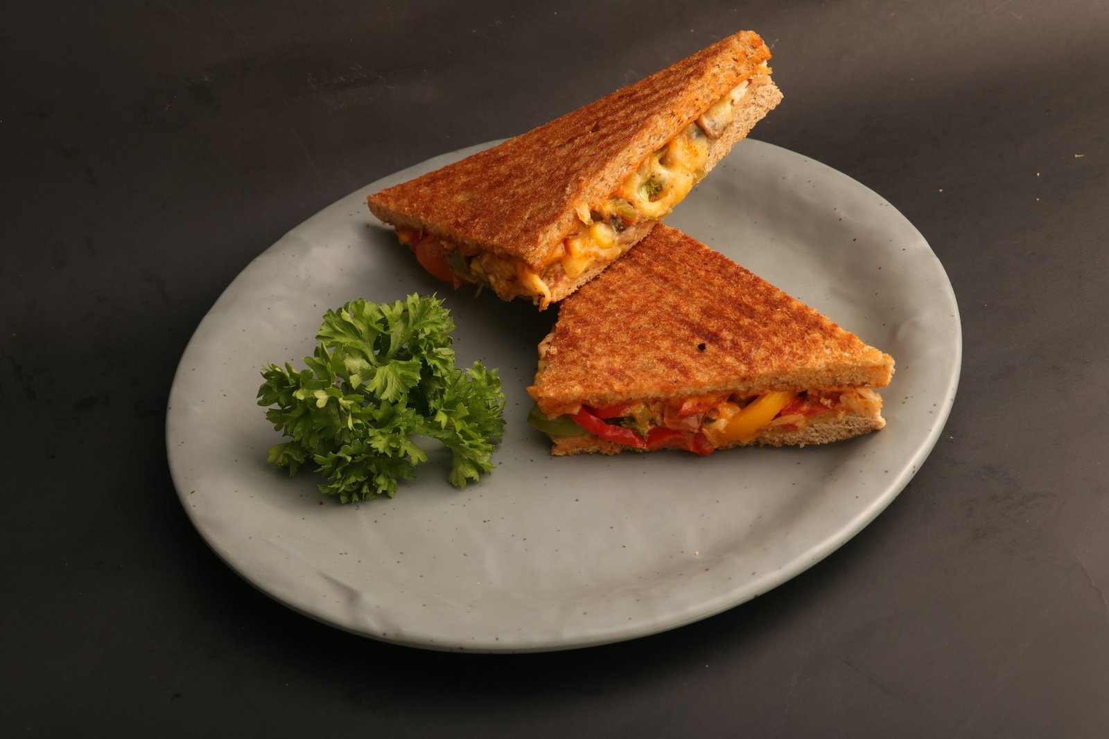 Pavilion Special Sandwich